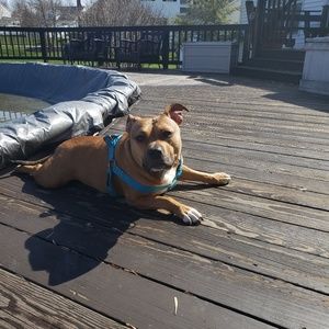 Meet your Posher, Scott